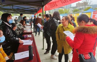 春风如贵客 道真县送岗上门三千，信息技术咨询暖民心